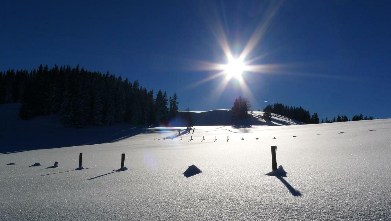 Appartamento Alpenhaus Dachstein.Zauber Abtenau Esterno foto