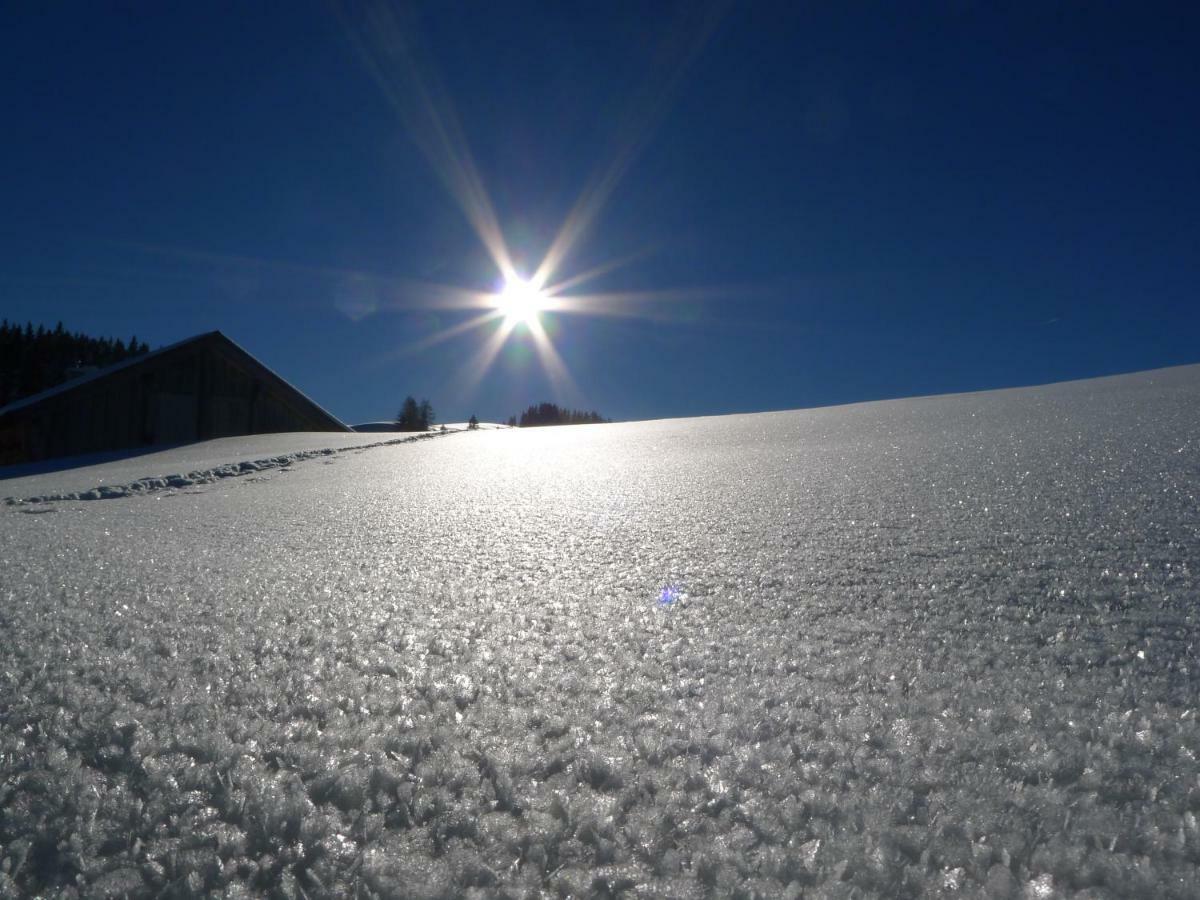 Appartamento Alpenhaus Dachstein.Zauber Abtenau Esterno foto